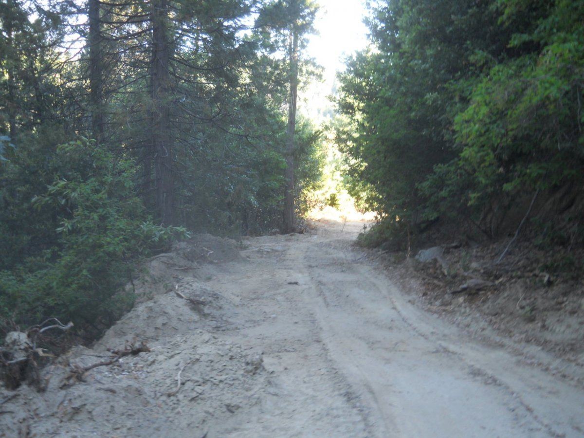 Spring 2012 road garden 005