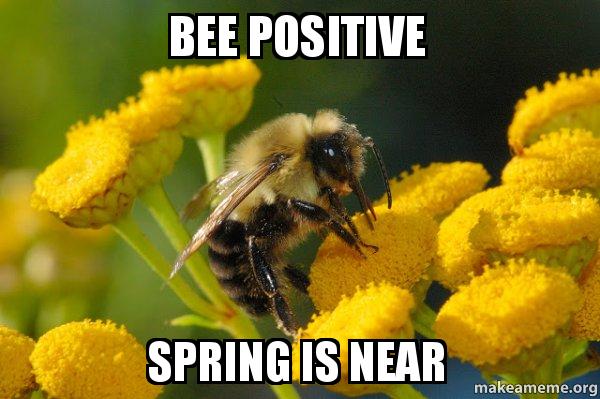Spring Meme 7