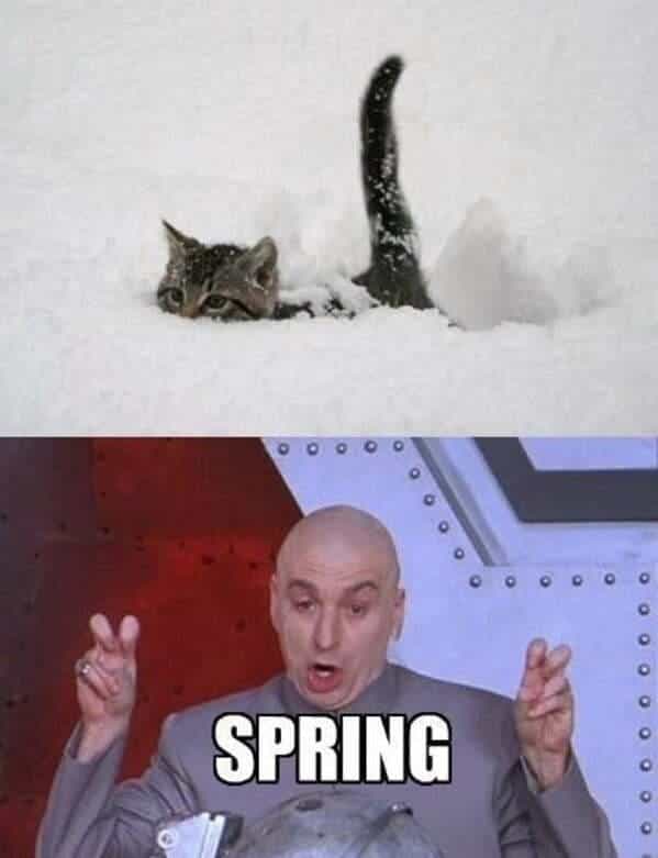Spring memes 6 03 22 2023