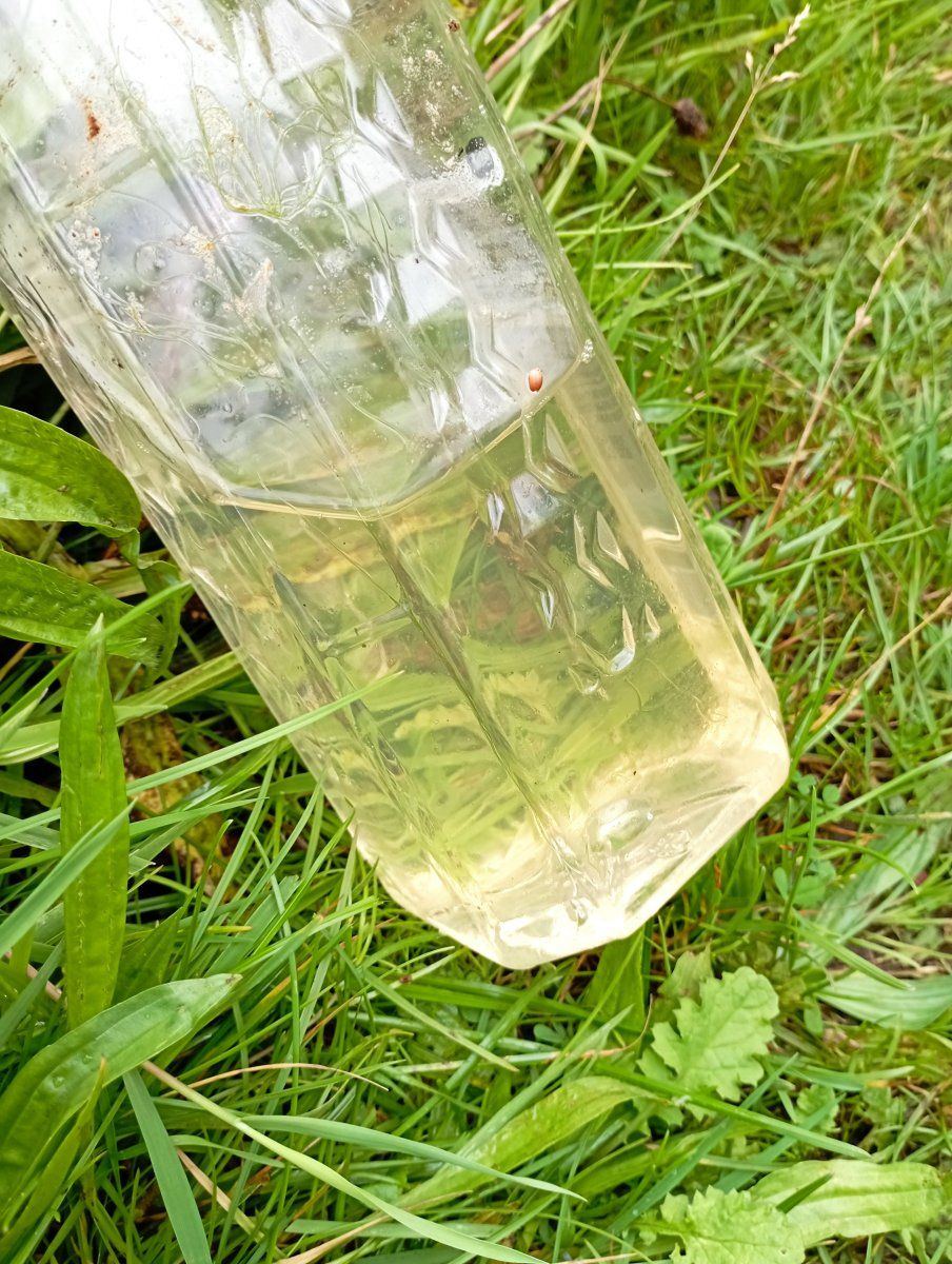Sprinwater