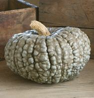 Squash