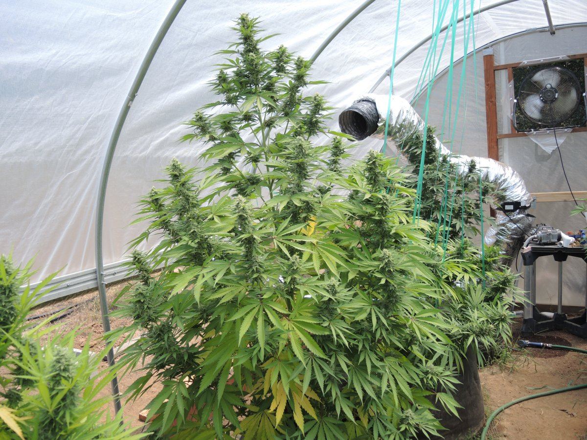 SSDD ESG 6 26 15