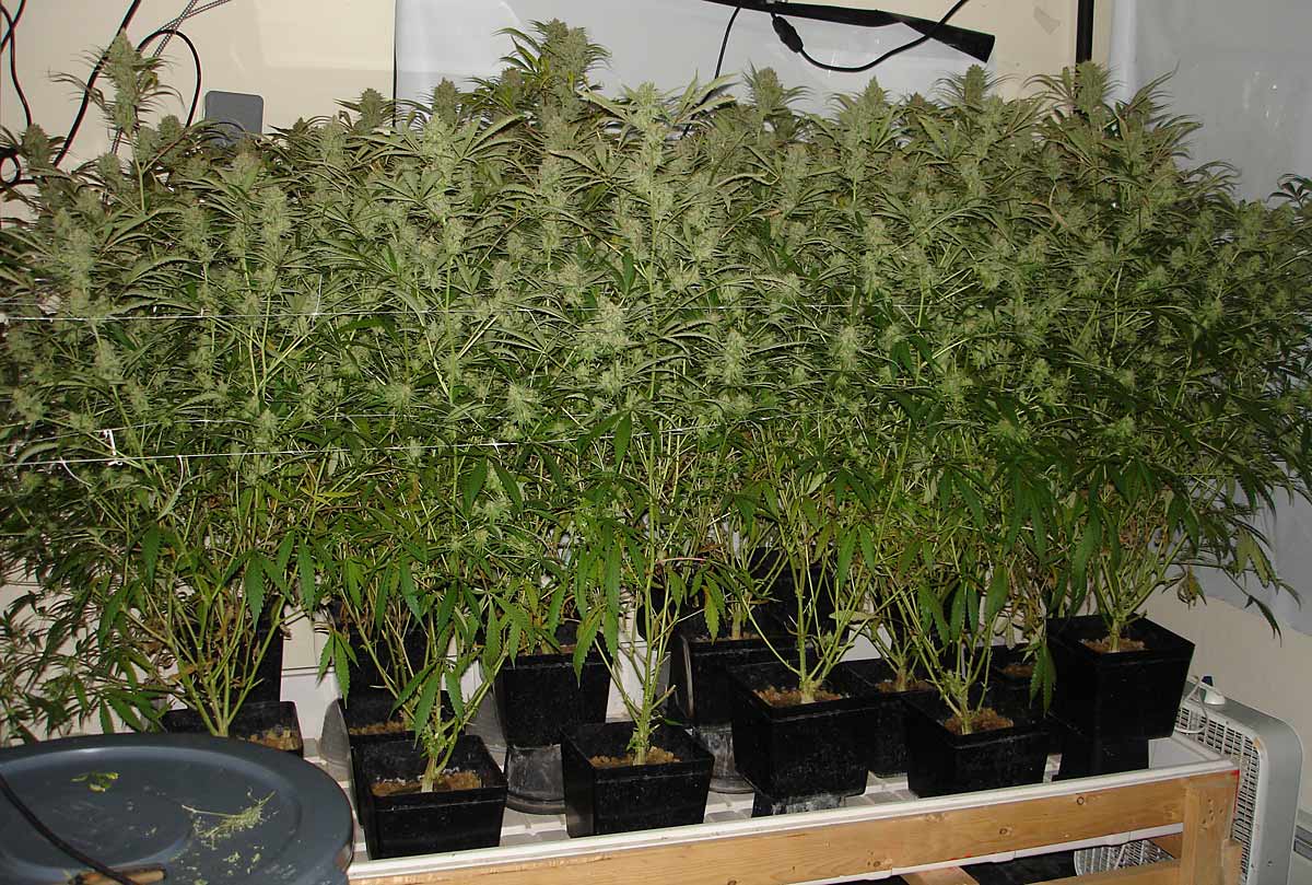 Ssh day 58 1
