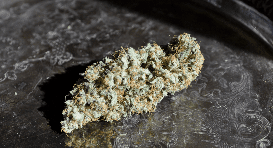 Ssslnugg