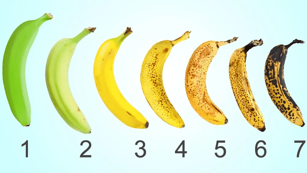 Stages of Ripeness.png