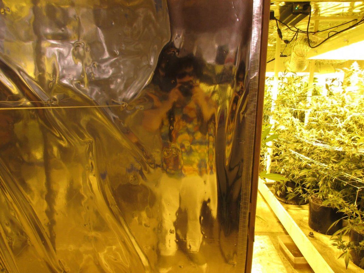 Stank 003