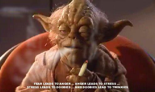 Star wars Yoda on  Marijuana