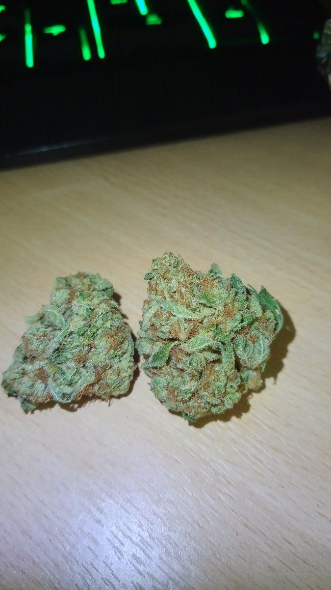 Stardawg