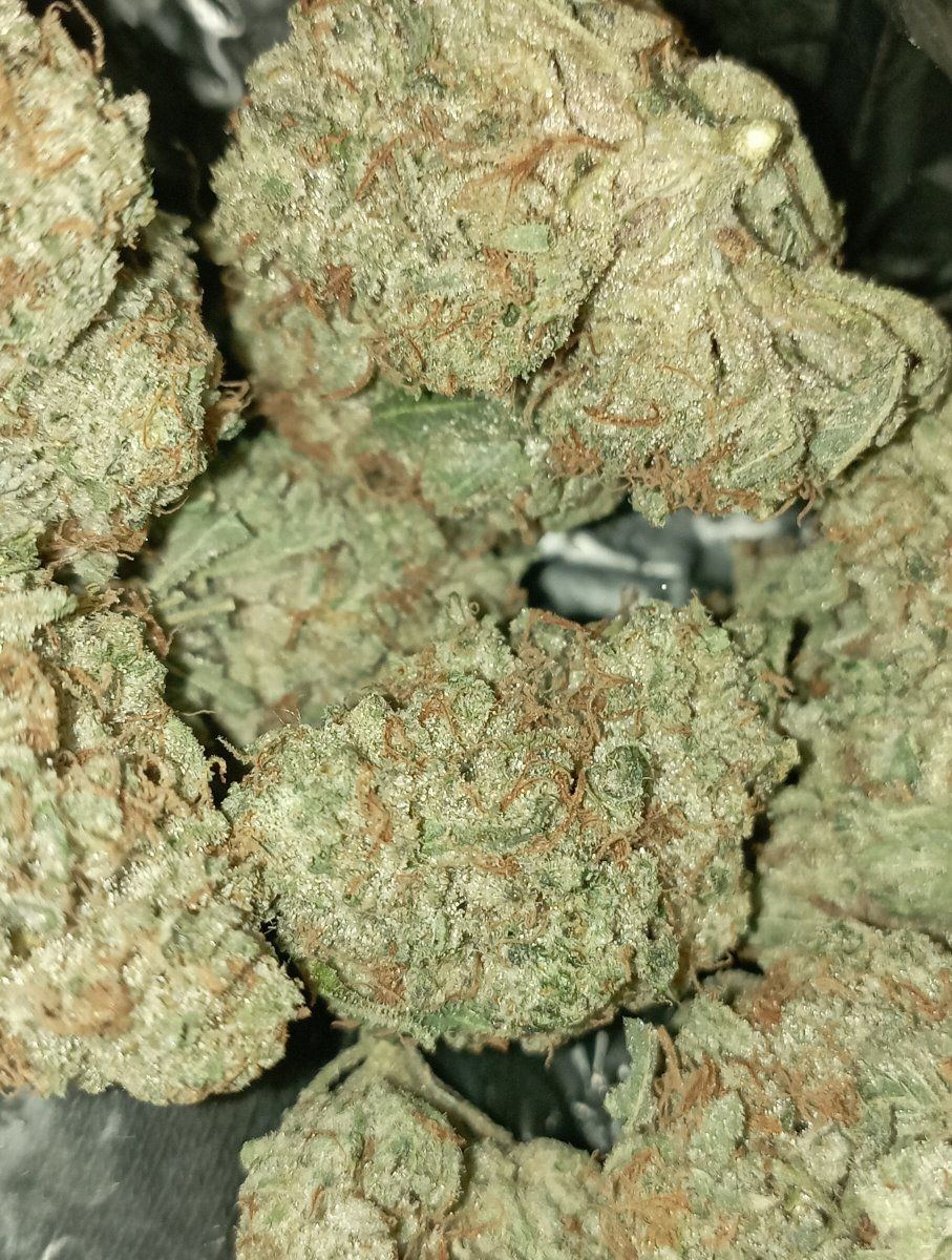 Stardawg
