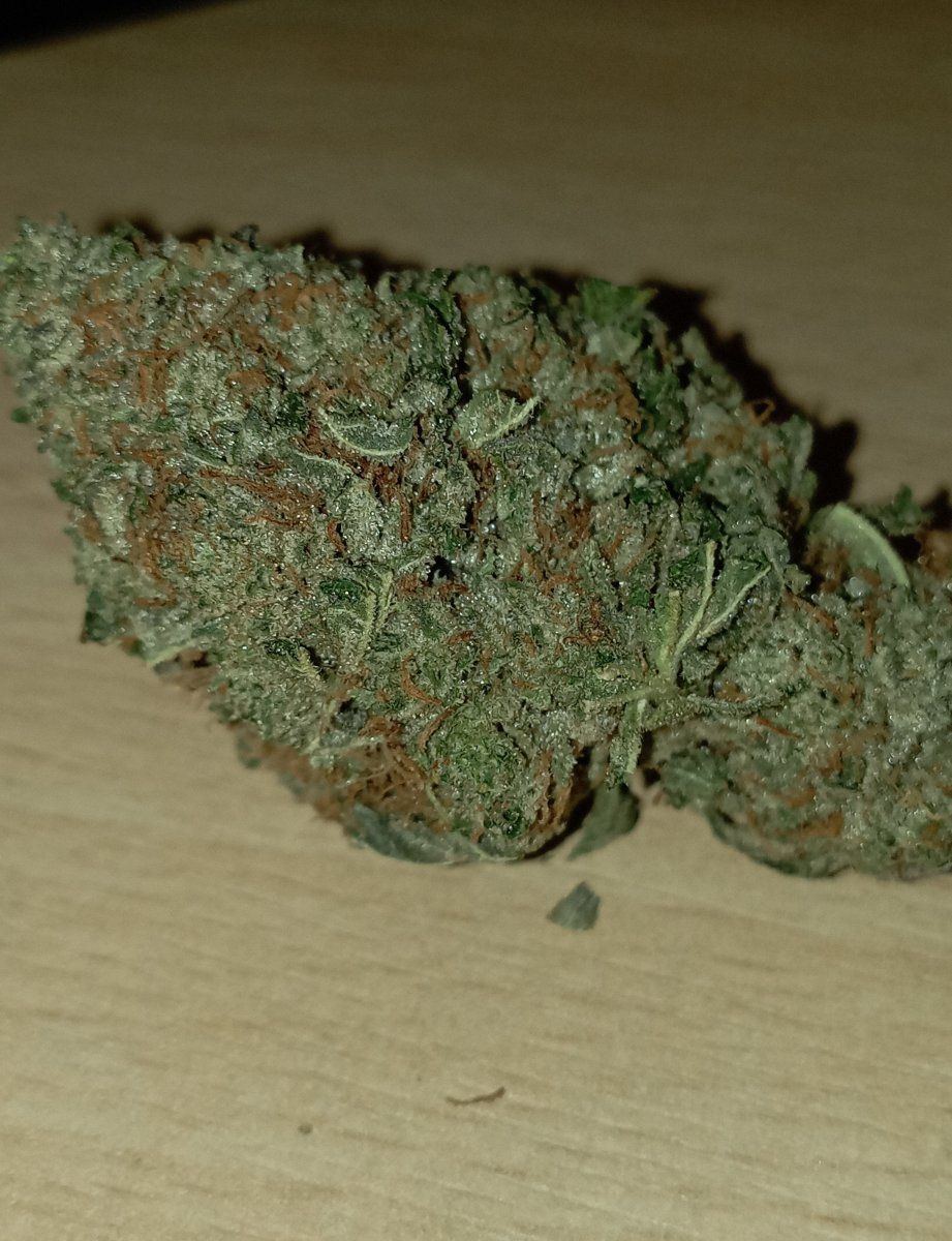 Stardawg