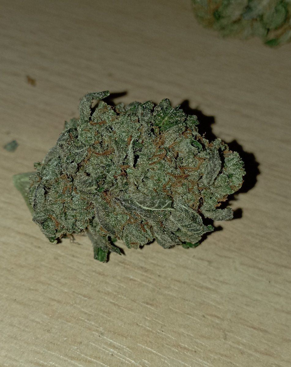 Stardawg