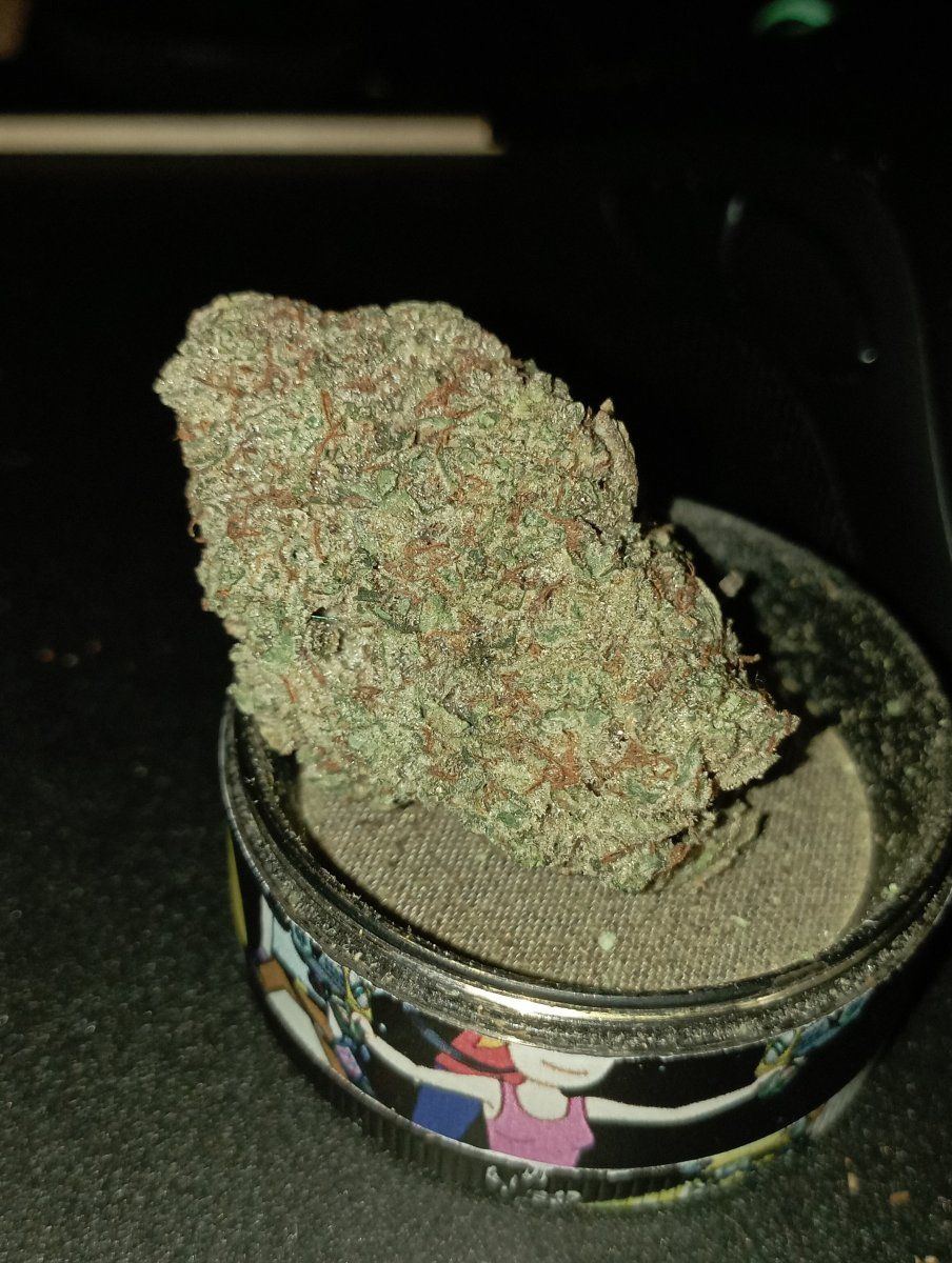 Stardawg