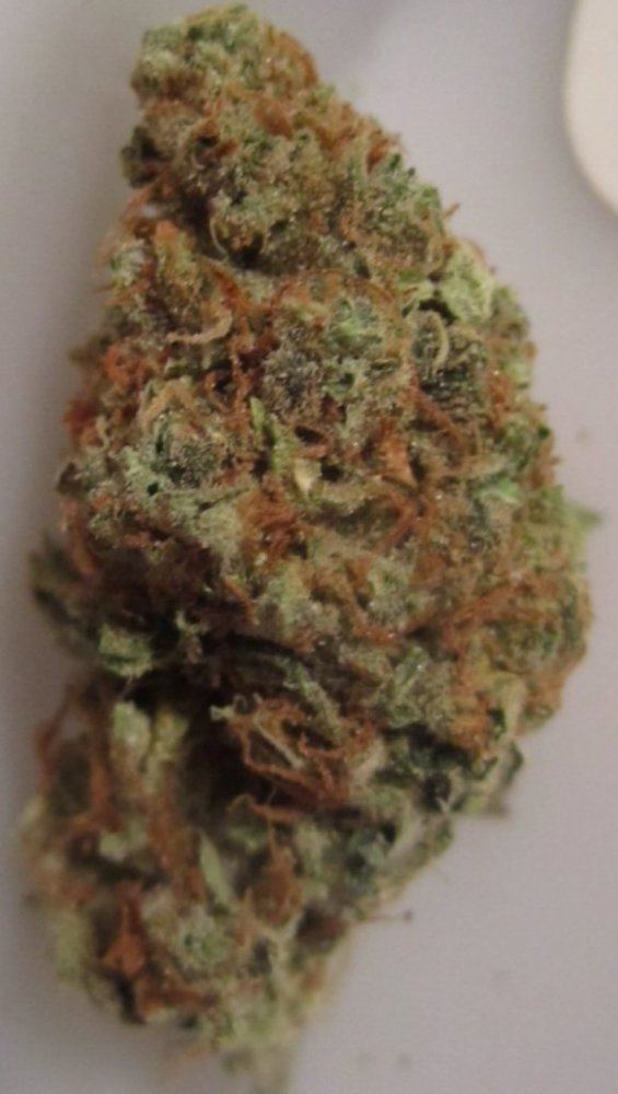 Stardawg