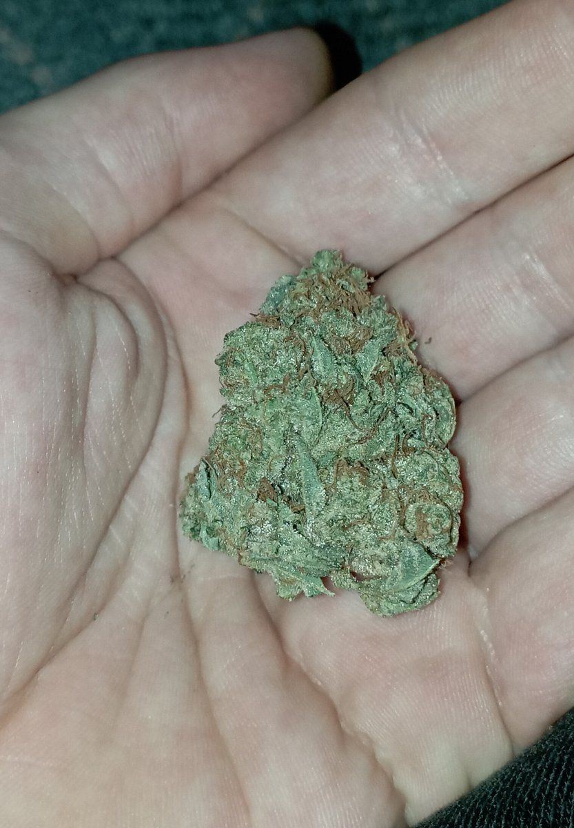 Stardawgnug