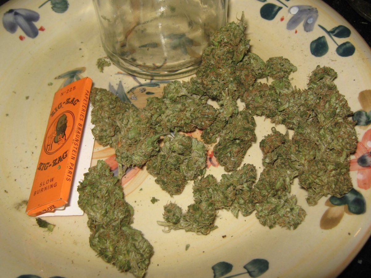 Stash9 24