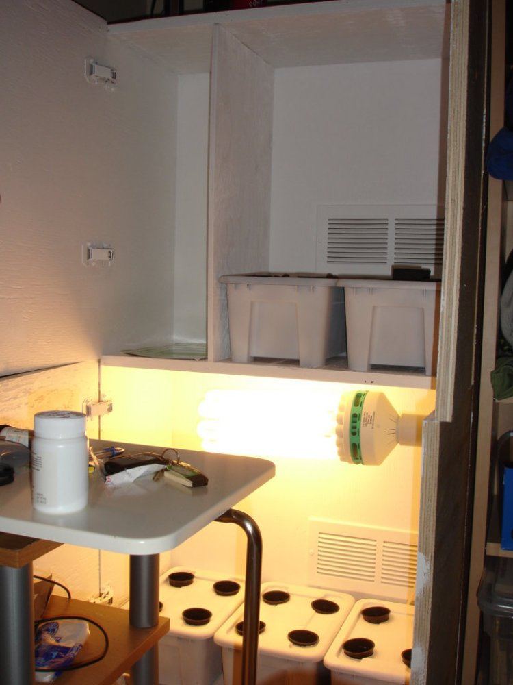 Stealth dwc home made cabinet 4