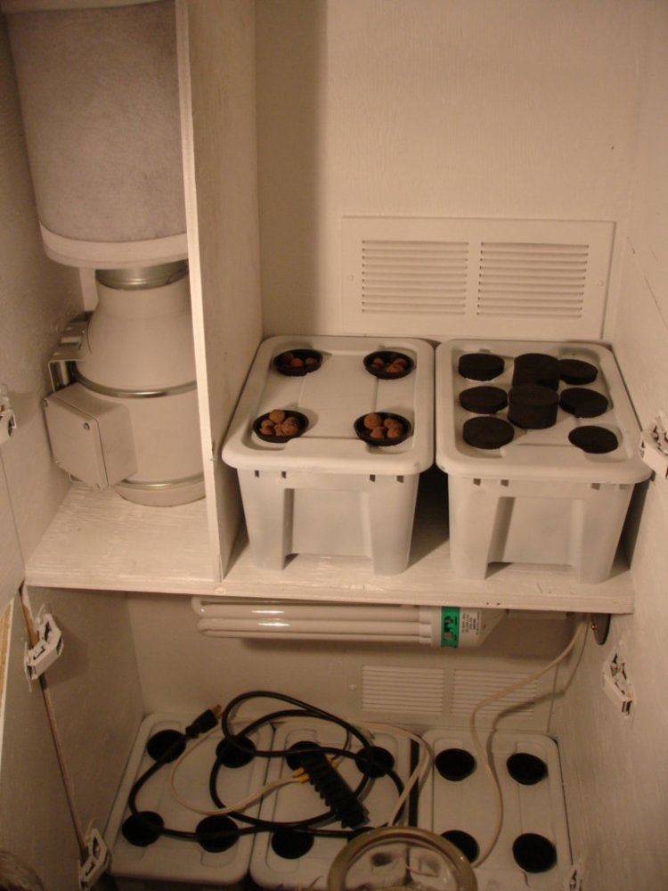 Stealth dwc home made cabinet 5