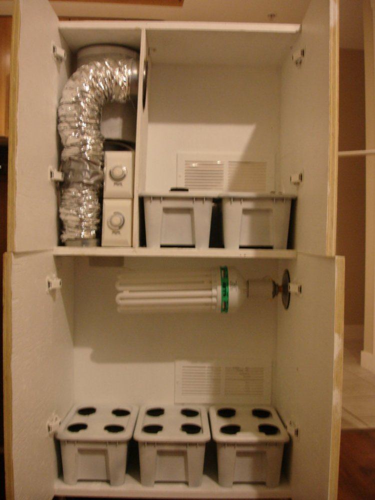 Stealth dwc home made cabinet 6