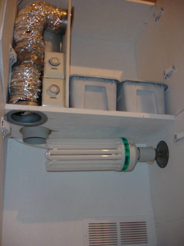 Stealth dwc home made cabinet 9