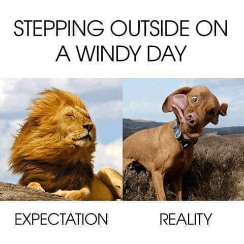 Stepping outside on windy day expectation reality