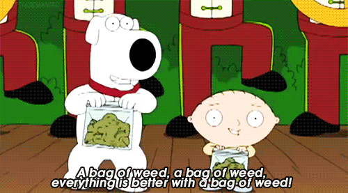 Stewie