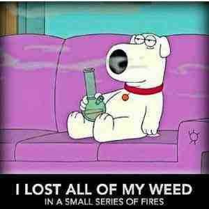 Stewies Dog
