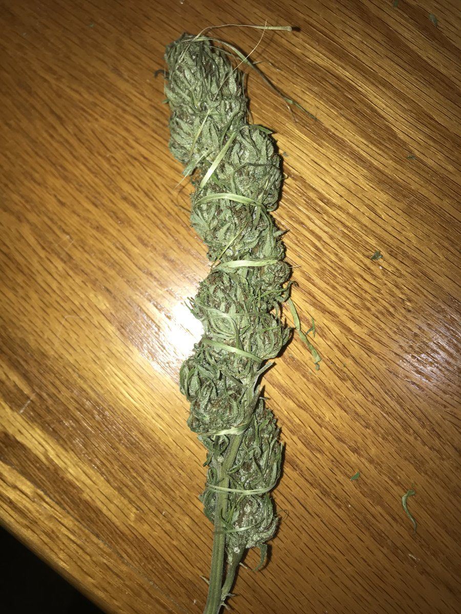 Stick