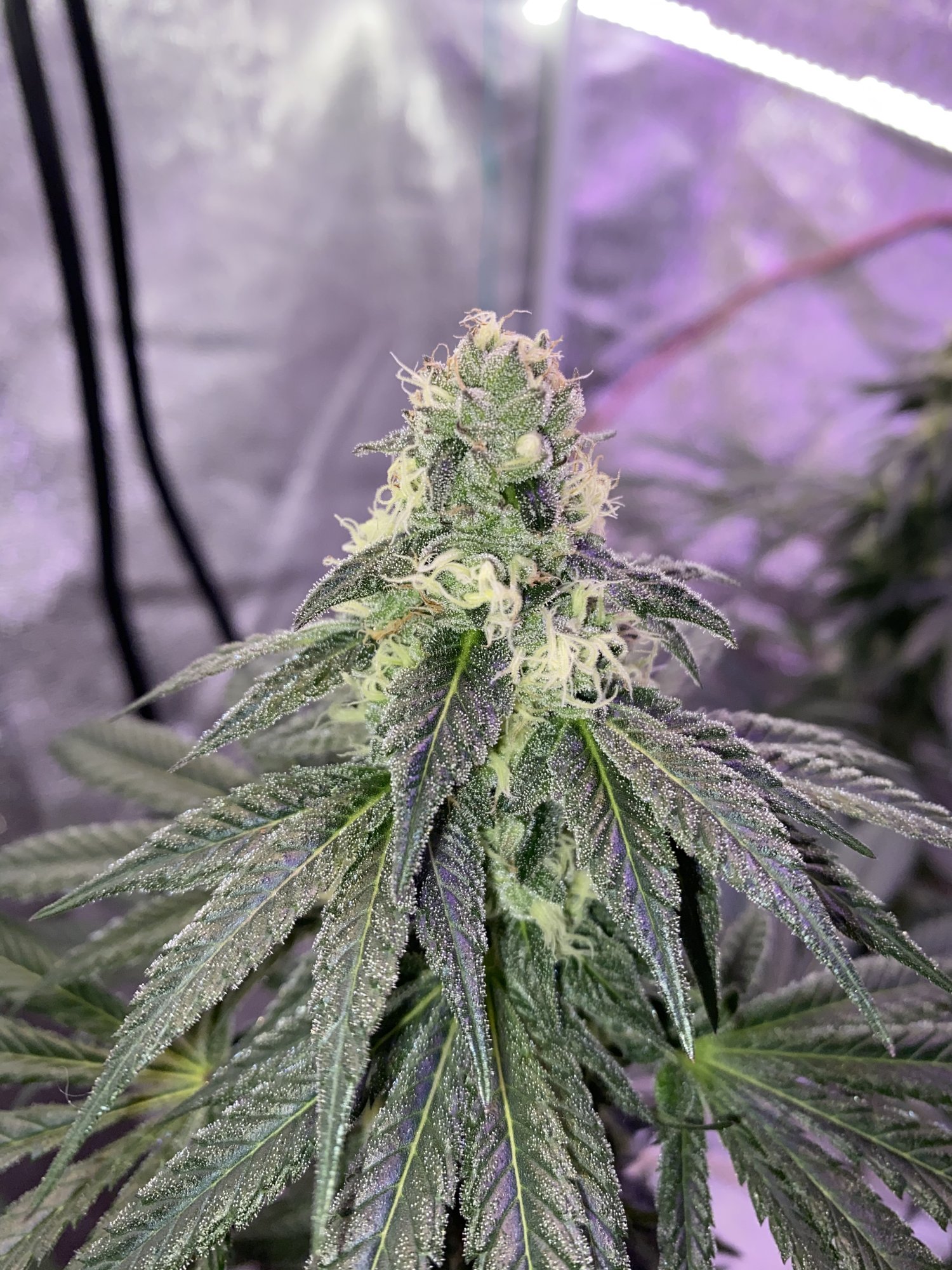 Still confused about ppmneed some advice 4