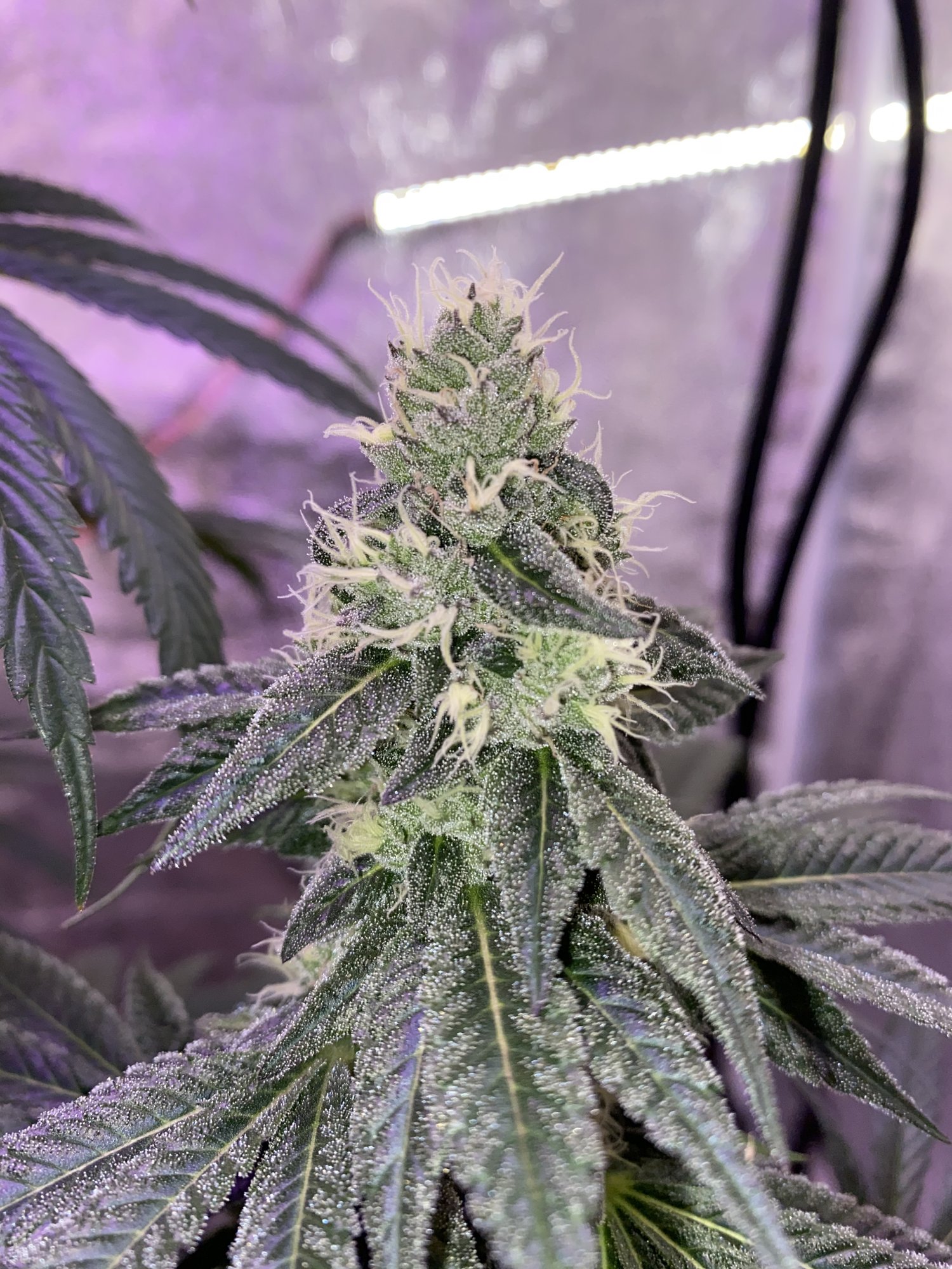 Still confused about ppmneed some advice 5