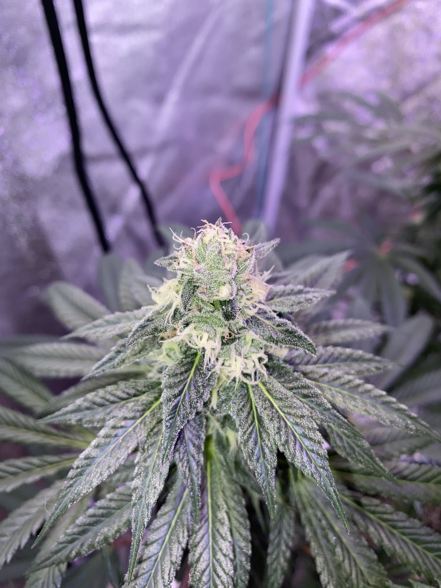Still confused about ppmneed some advice 6