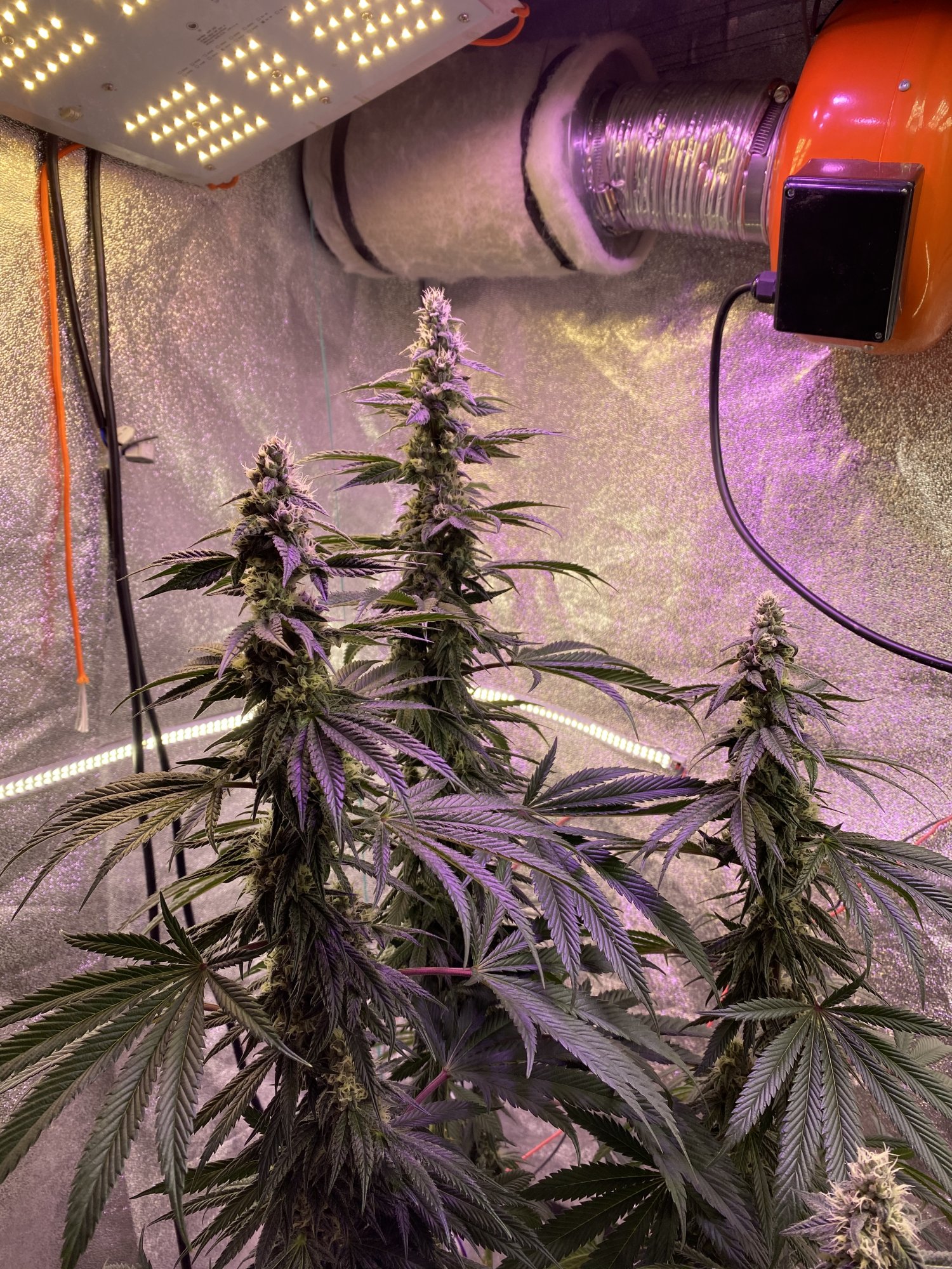 Still confused about ppmneed some advice 7