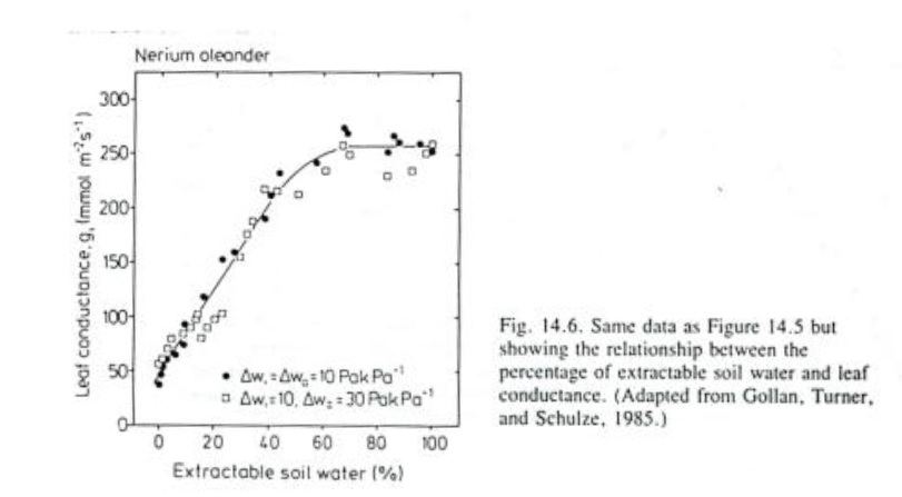 Stomatal conductance vs moisture