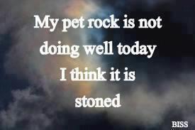 Stoned rock