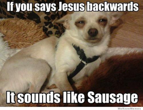 Stoner dog sausage meme