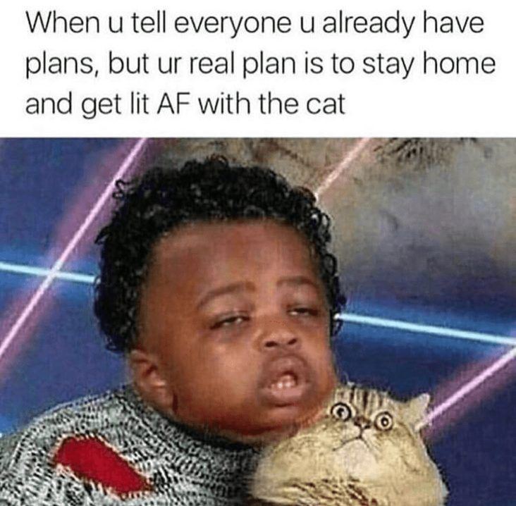 Stonermemeplans