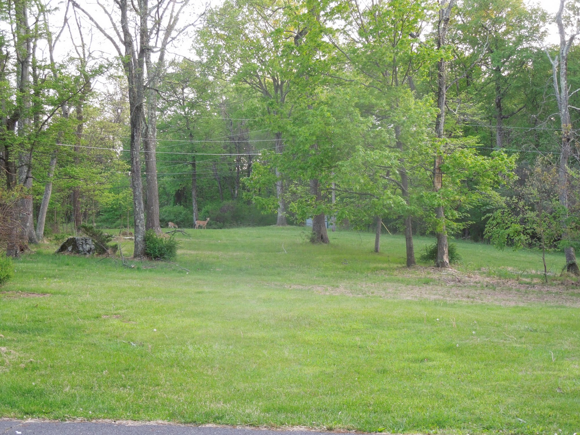 Stoneys spot 8