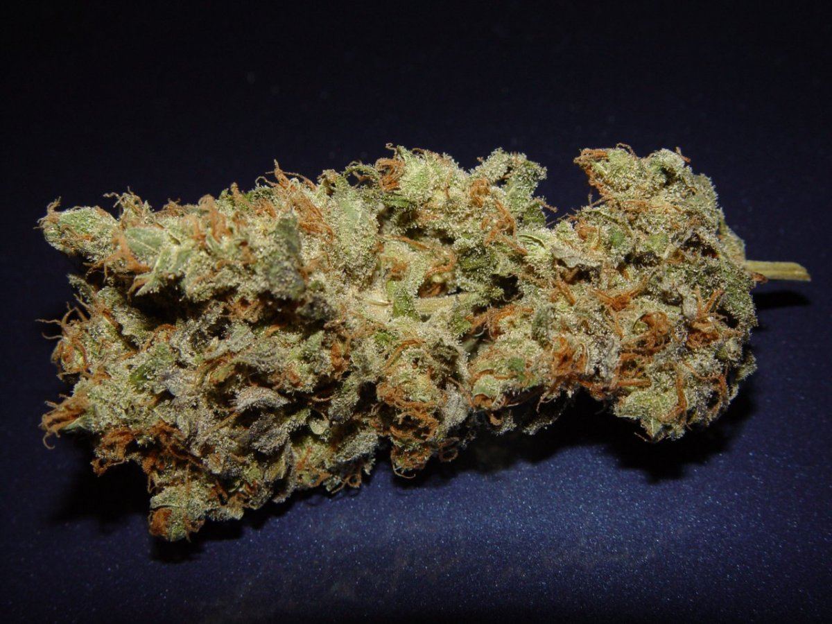 Strawberry Bubba 1