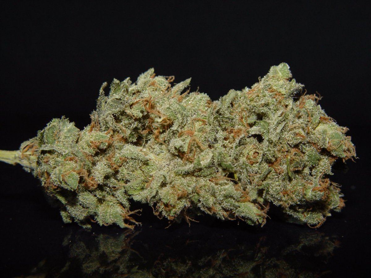 Strawberry Bubba 3