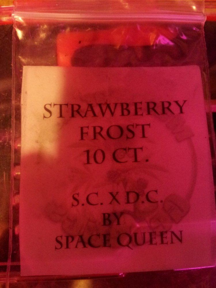Strawberry frost grown organically