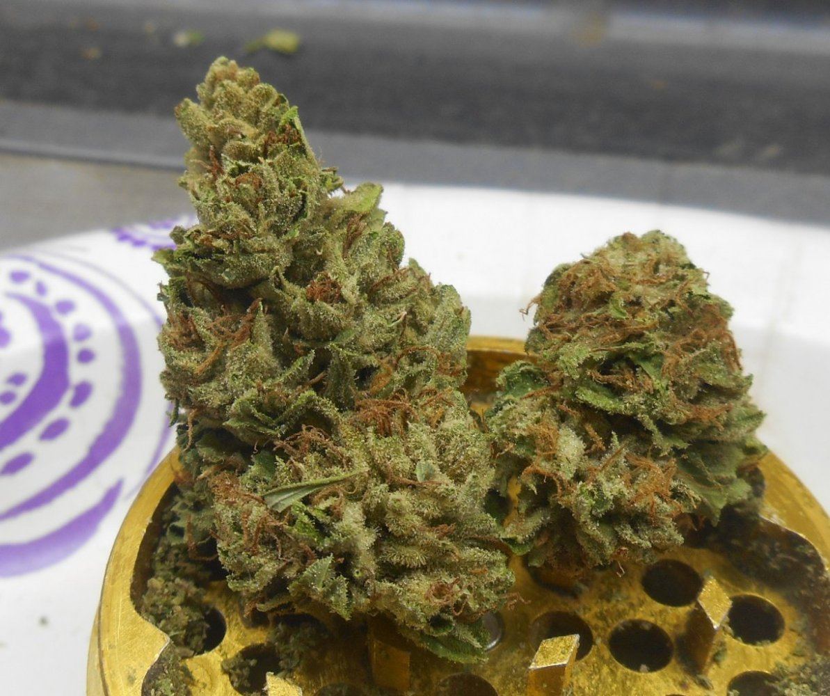 Strawberrykush