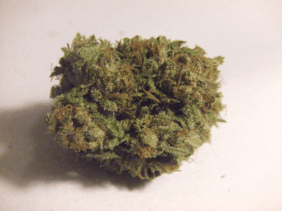 Strawberryog 1b