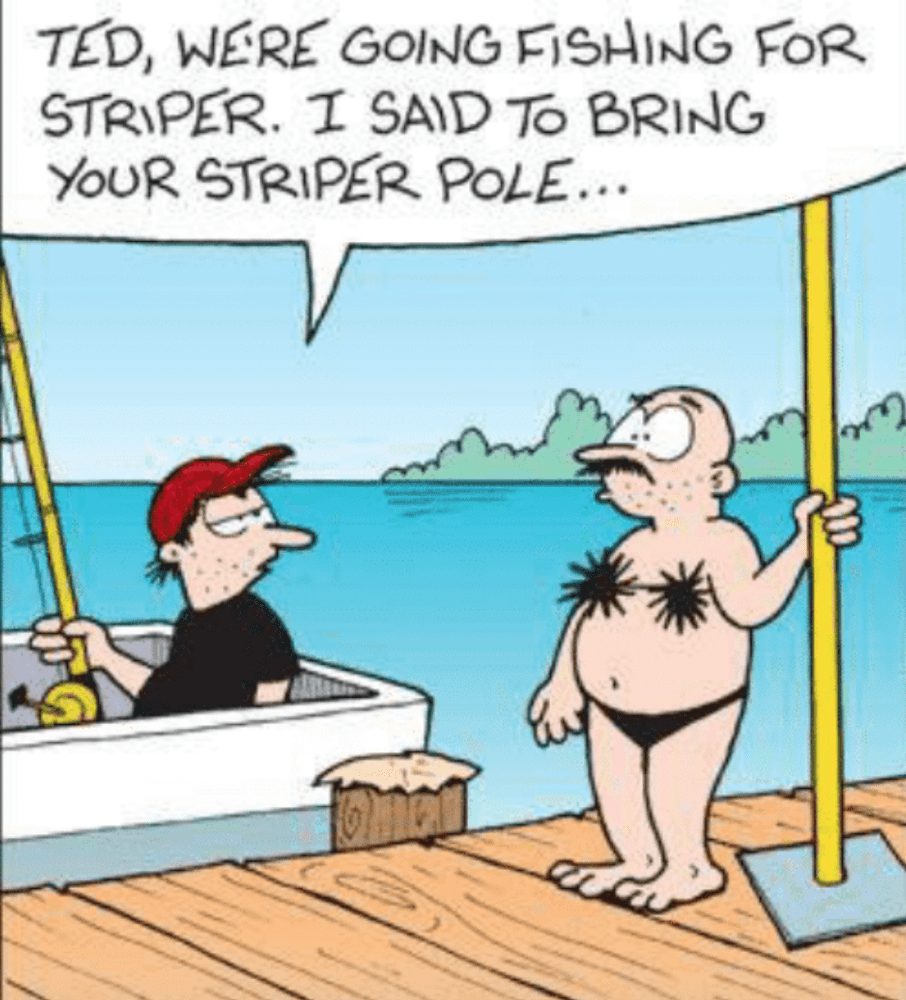 Striper pole