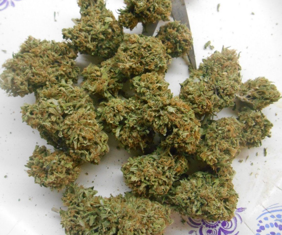 Stwnugs