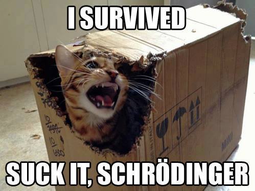 Suck it schrodinger