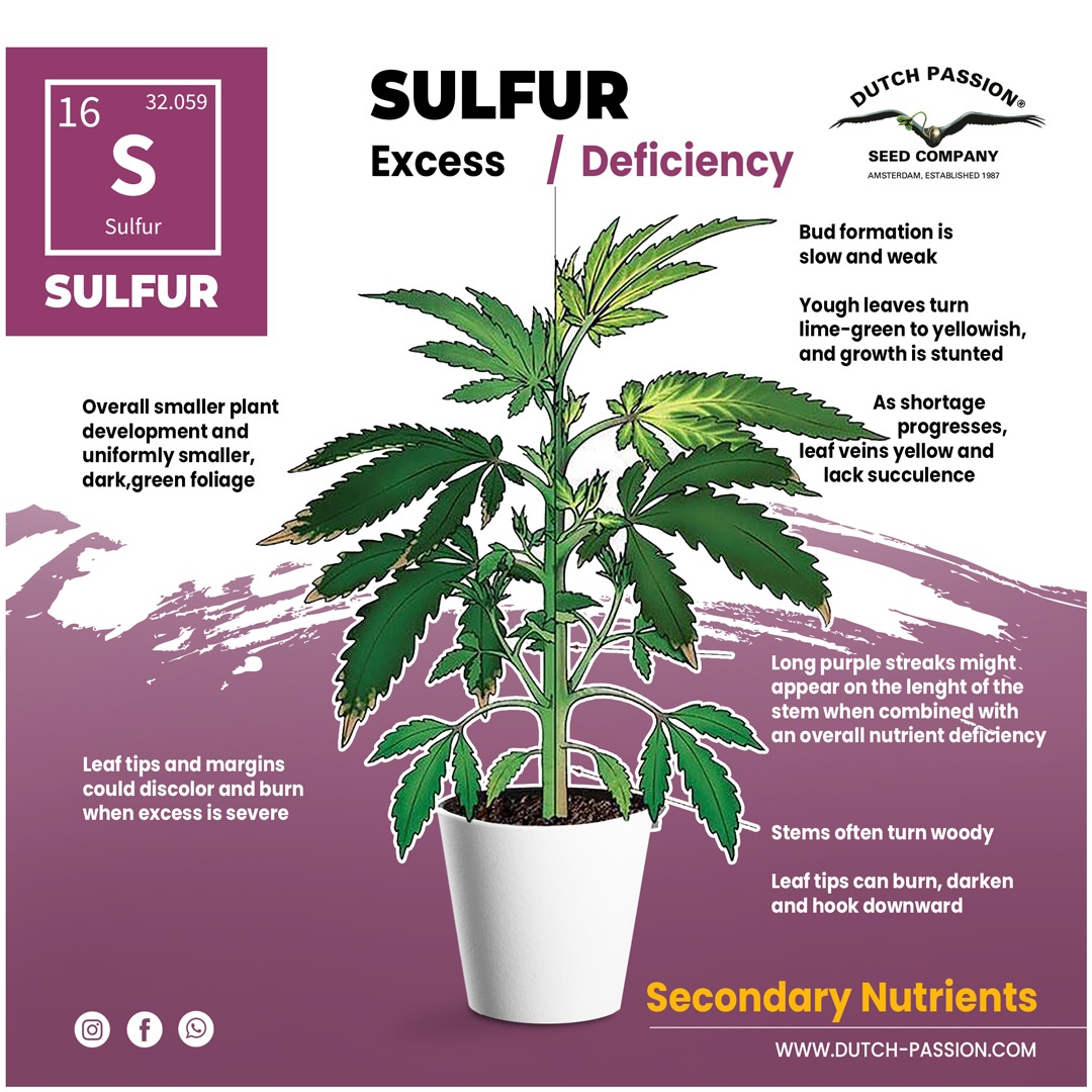 Sulfur