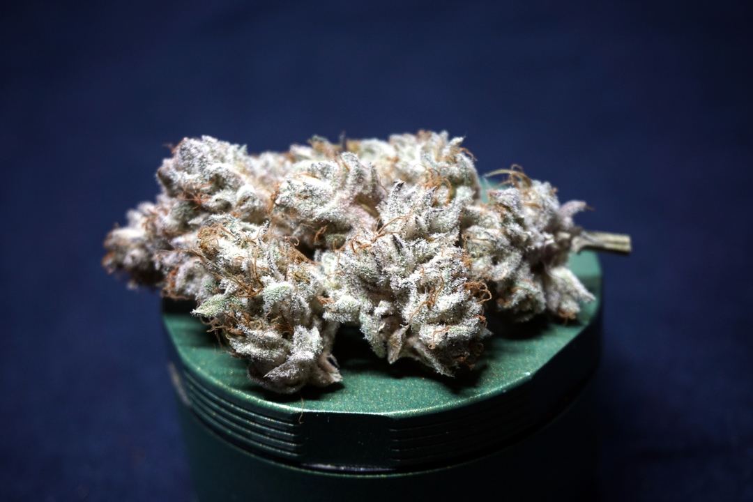 Sundae driver s1 1080
