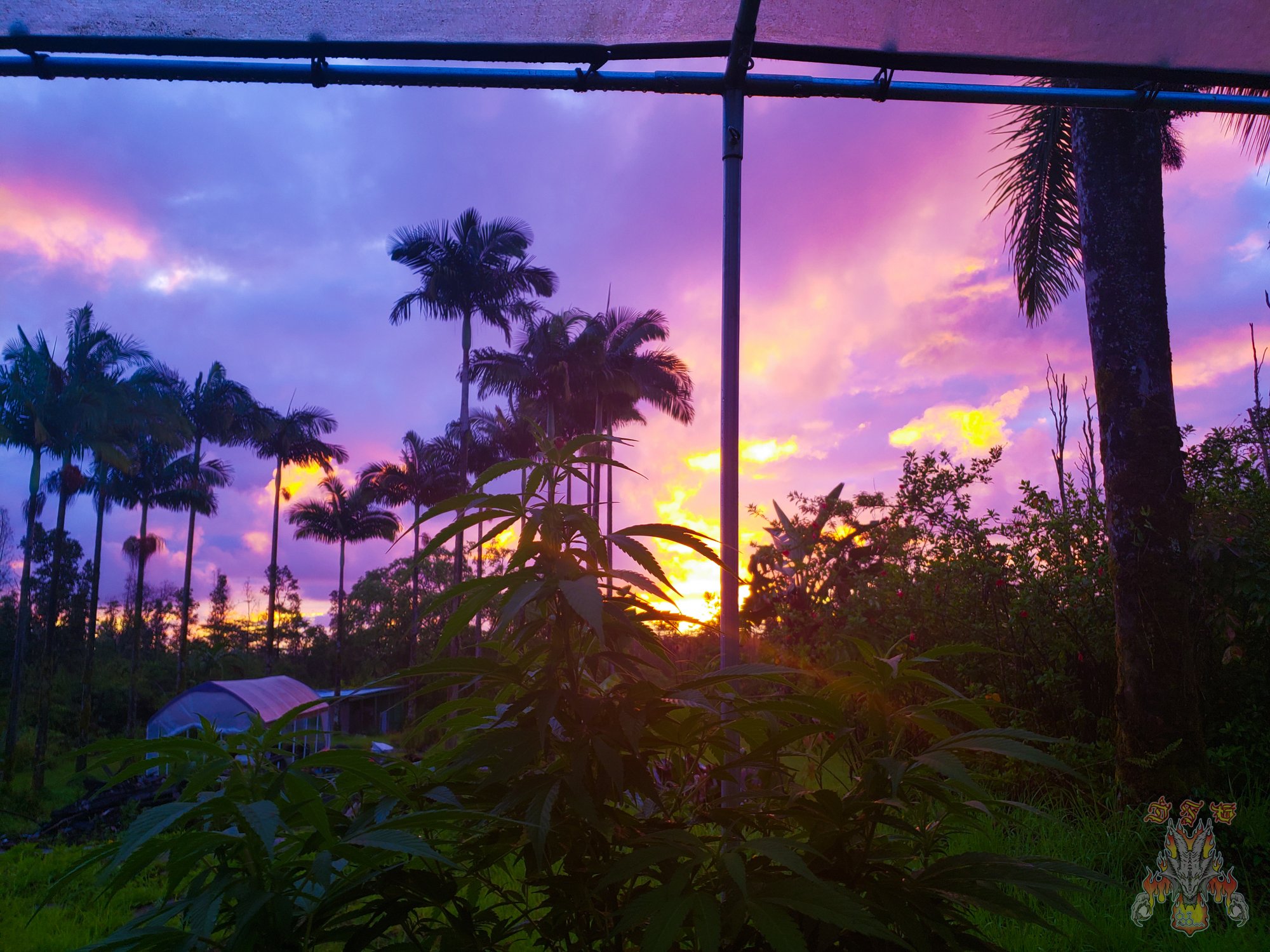 Sunrise 17