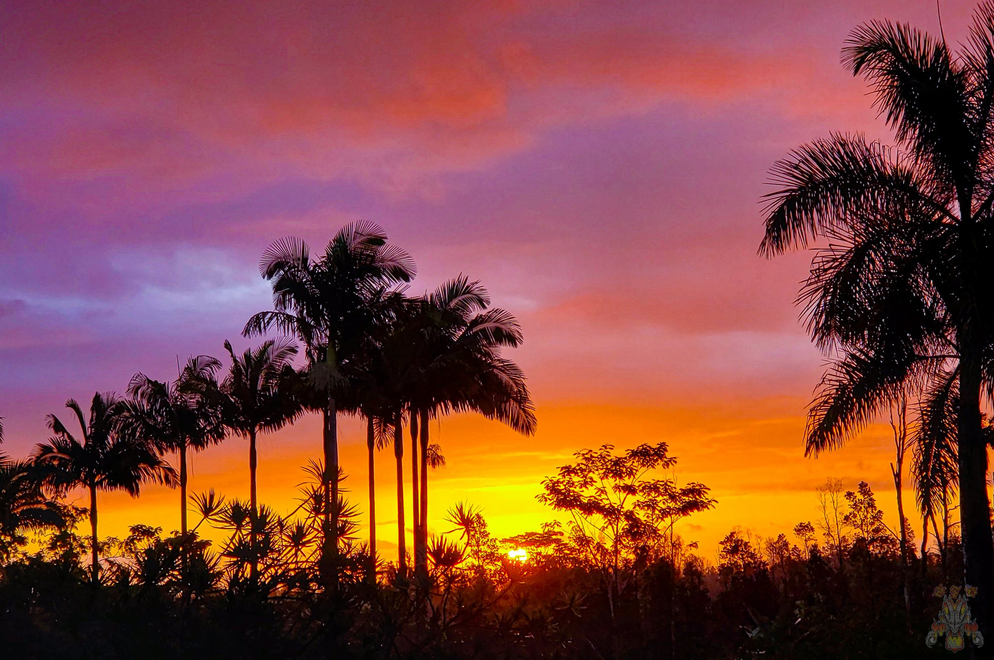 Sunrise  5