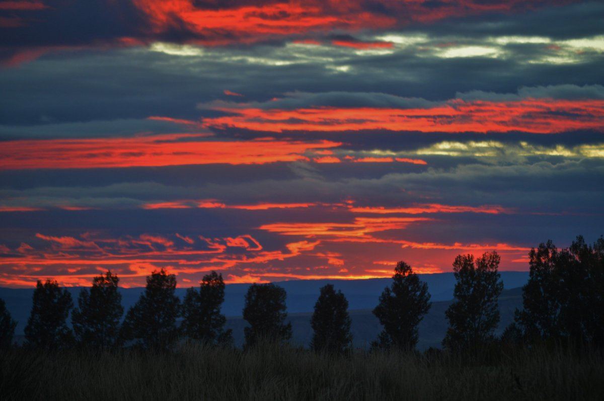 Sunset farm