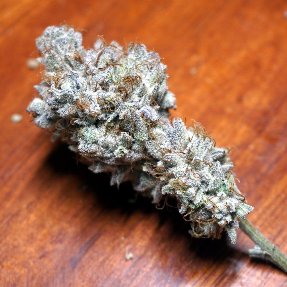 Sunset sherbet